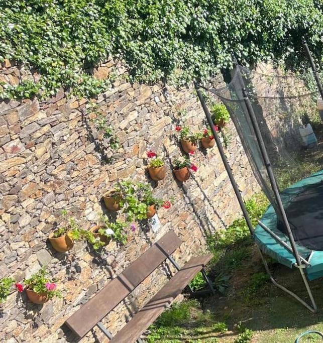 Villa Casa A Boga Ribeira Sacra Abeleda Exterior foto