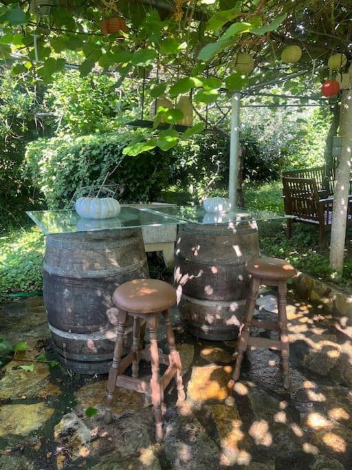 Villa Casa A Boga Ribeira Sacra Abeleda Exterior foto