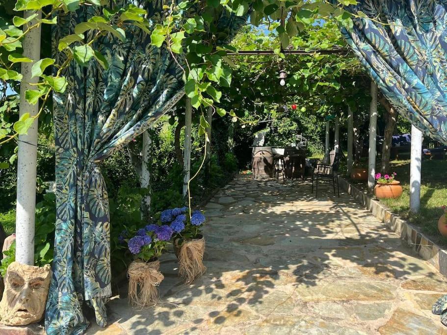 Villa Casa A Boga Ribeira Sacra Abeleda Exterior foto